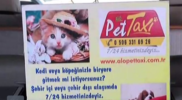 Bu da 'pet' taksi