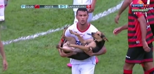 Futbolcular sahaya giren köpeği kucaklayarak çıkardı