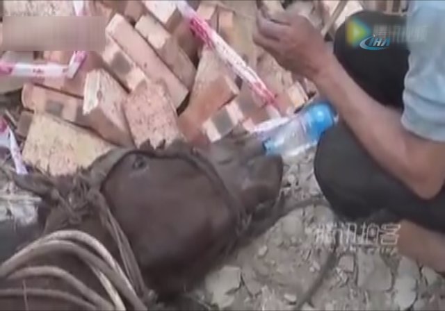 Kuyuya düşen atı böyle kurtardılar