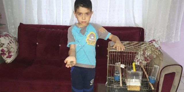 Kaybolan kuşunu bulana 5 TL okul harçlığını verecek