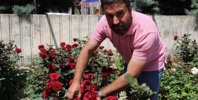 Terör turizmi vurdu, turizmciler meslek değiştirdi