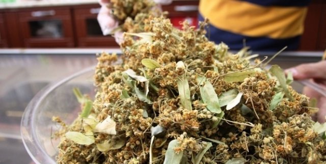 Altınla yarışan ıhlamurun fiyatında düşüş bekleniyor