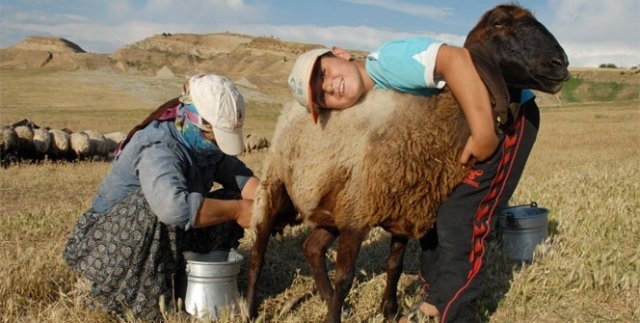 Berivanların Ramazan'da sıcakla imtihanı