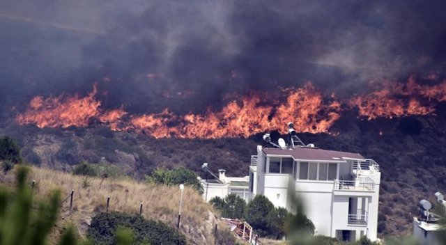 Bodrum'da makilik alanda yangın