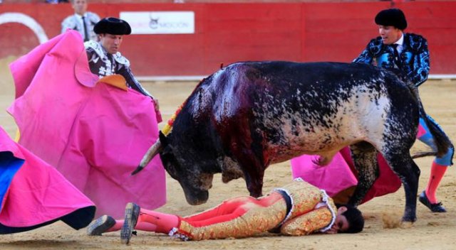 İspanya'da boğa, matador Victor Barrio'yu öldürdü
