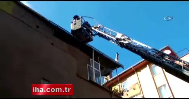 Bu köpek inanılmaz!