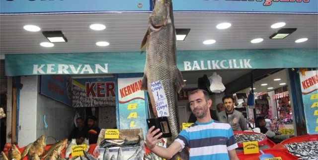 Bu balıkla fotoğraf çektirmek parayla