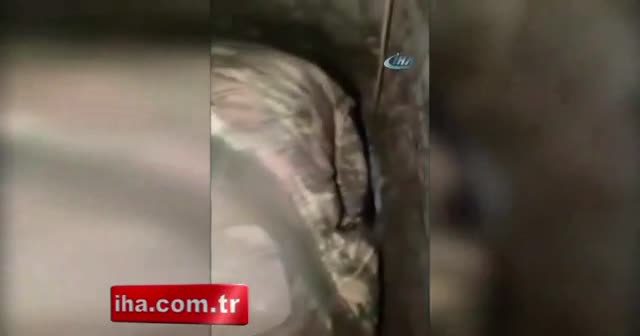 TSK: Şırnak’ta 2 terörist öldürüldü