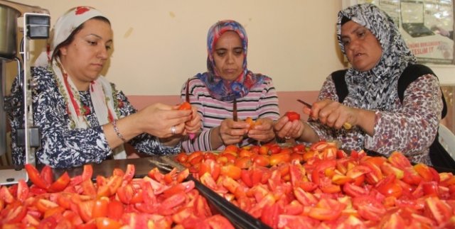 Türkiye'de bir ilk, çiftçi kadınlar domatesten un yaptı