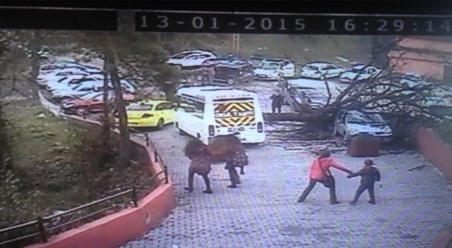 Zonguldak'ta ağacın okulun yanına devrilme anı güvenlik kamerasında