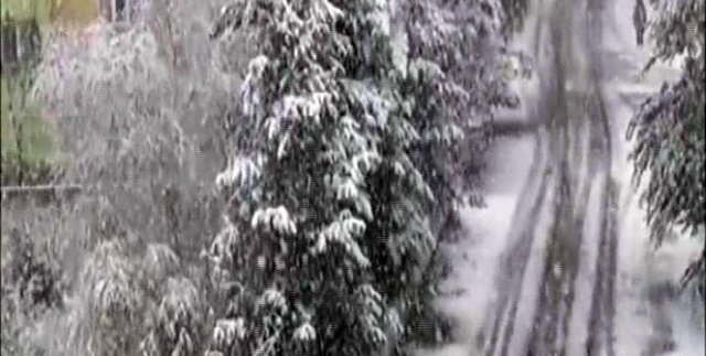 Ağrı beyaza büründü