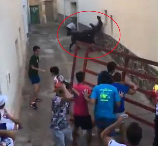 Boğanın art arda boynuzladığı adam öldü