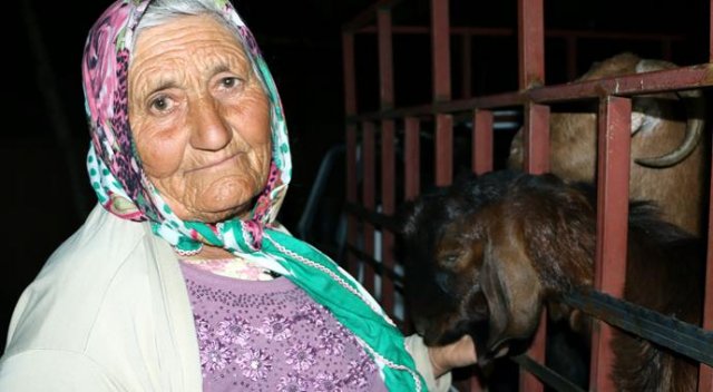 Çalınan keçilerini teslim alan yaşlı kadın duygularına hakim olamadı