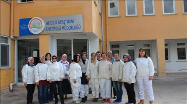 Ev hanımları arı sütüyle para kazanacak