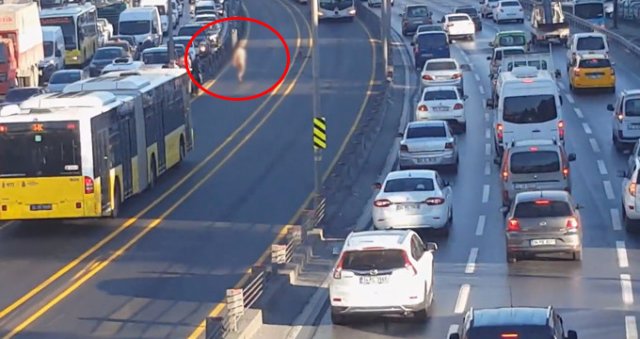 Metrobüs yolunda akıl almaz olay