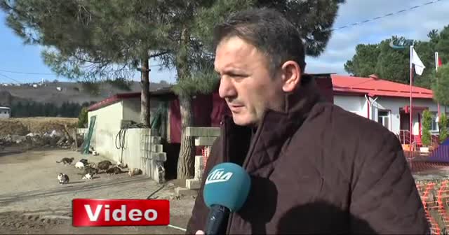 'Burası hayvan barınağı değil sevgi yuvası'