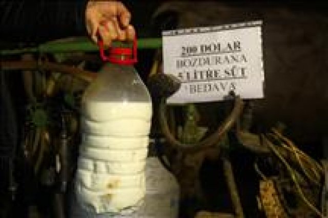 200 dolar bozdurana 5 litre süt hediye