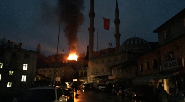 Adana'da Aladağ'da yeni yangın!