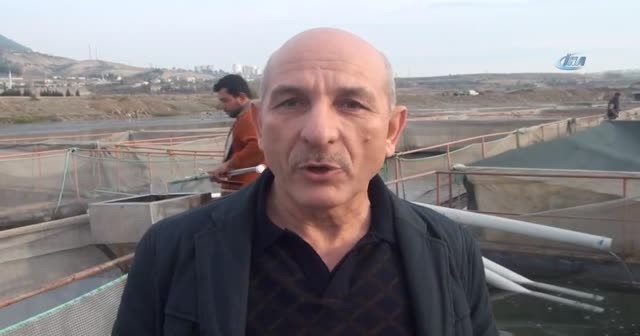 Bu çiftlikte büyük balık küçük balığı yemiyor