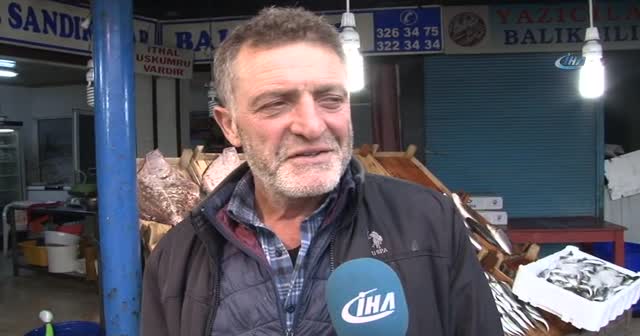 Hamsi son 20 yılın en yüksek fiyatına ulaştı