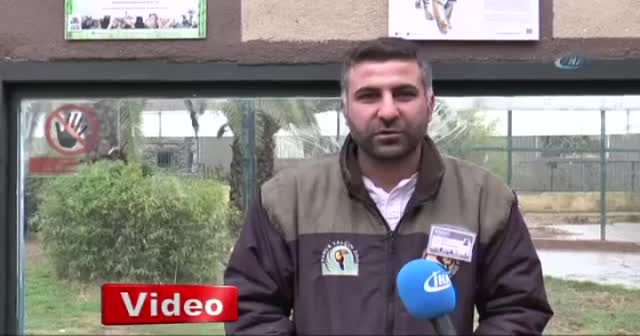 Havalar soğuyunca keyfi yerine geldi