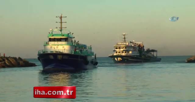 Karadeniz'de hamsi bereketi