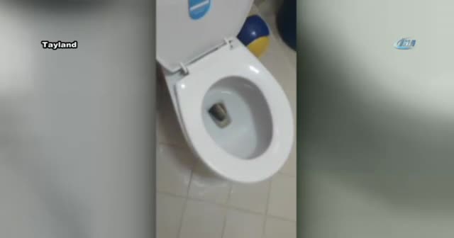 Klozette davetsiz misafir !