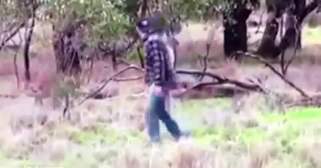 Köpeğine saldıran kanguruya yumruk