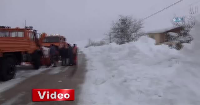 Mersin'de kar ağaçların dallarını kırıp, çatıları ve seraları yıktı