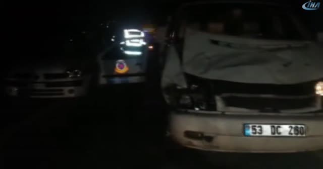 Minibüs, aniden yola çıkan ineğe çarptı
