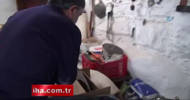 Nesli tükenmekte olan Balaban kuşu yaralı halde bulundu