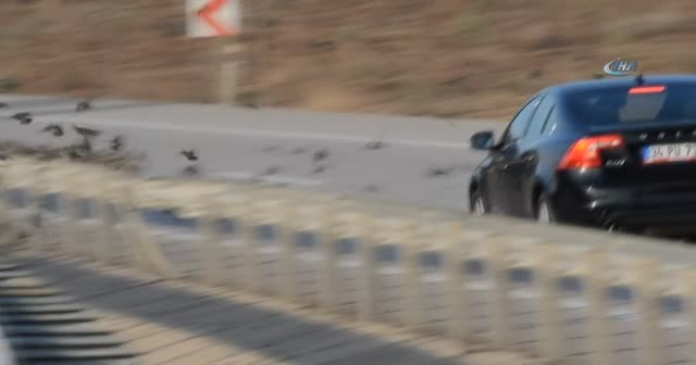 Soğuk onları da vurdu, binlercesi kara yolunu kapattı