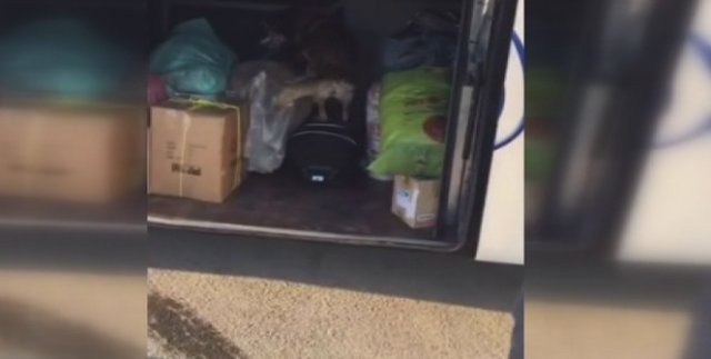 Uşak’ta 2 kilo 135 gram esrar yakalandı