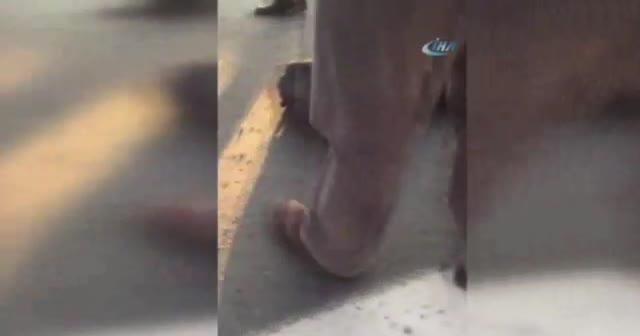 Vatandaşlar polislerin yardımına koştu