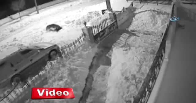 Aç kalan kurt şehre inip köpeğe saldırdı