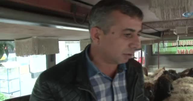 Adana'da mobil adak hizmeti: Yarısı ahır, yarısı kesimhane