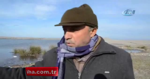 Bafra’da kanatlı hayvan ölümleri