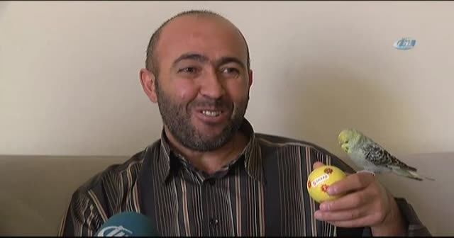 Böyle muhabbet kuşu görülmedi