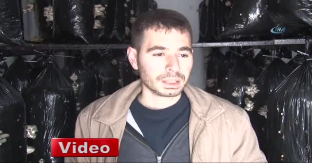 Bunlar da organik mantar