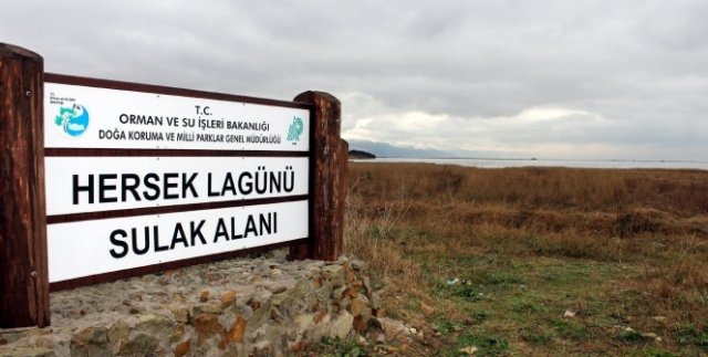 Dilovası'ndan dalgalarla taşınan petrol Hersek Lagünü'nü de kirletti