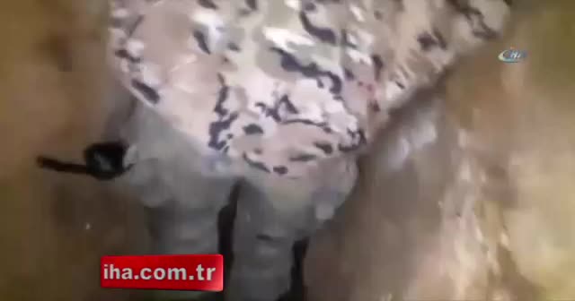 Diyarbakır'da PKK'ya ağır darbe