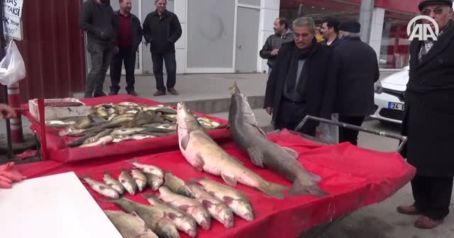Erzincan'da yakalanan turna balıkları ilgi gördü