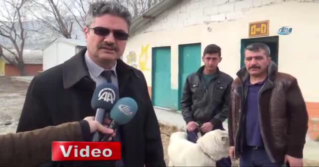 Eziyet edilen köpeği hayvansever sahiplendi
