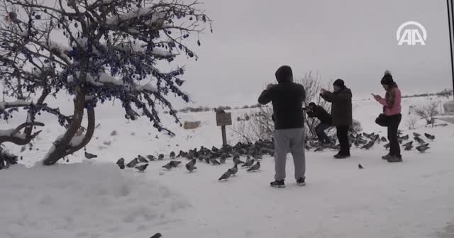 Güvercinlik Vadisi'nde kuşlardan görsel şölen