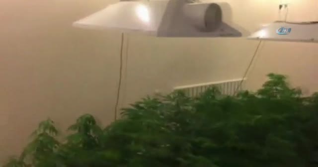 İstanbul polisinden uyuşturucu baskını