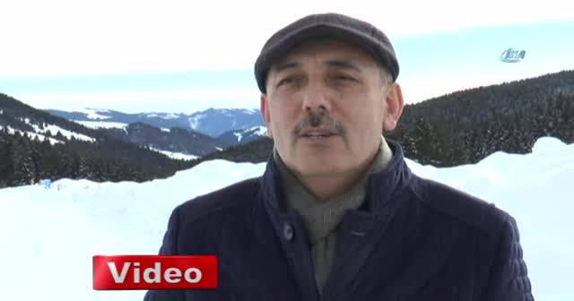 Karadeniz yaylaları Alpler'i aratmıyor