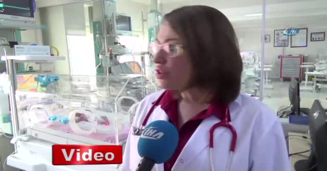 Nuh bebek, ölen annesinin sütüyle hayata tutunacak