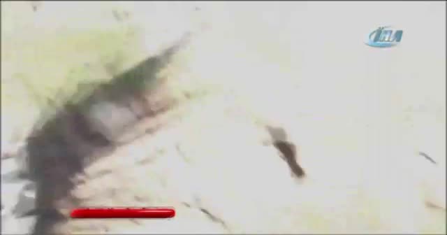 Oklu kirpi tünel çalışmalarını durdurdu