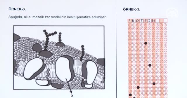 ÖSYM Başkanı Demir: Bir kelimelik cevaplar öngörüyoruz