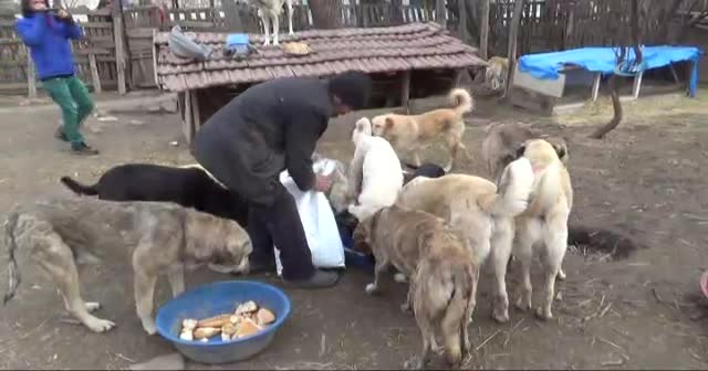 100’e yakın köpeğe bakan Eker'e hayvanseverlerden destek